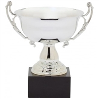 Premier<BR> Silver Trophy Bowl<BR> 11.5 to 13.5 Inches