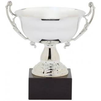 Premier<BR> Silver Trophy Bowl<BR> 11.5 to 13.5 Inches