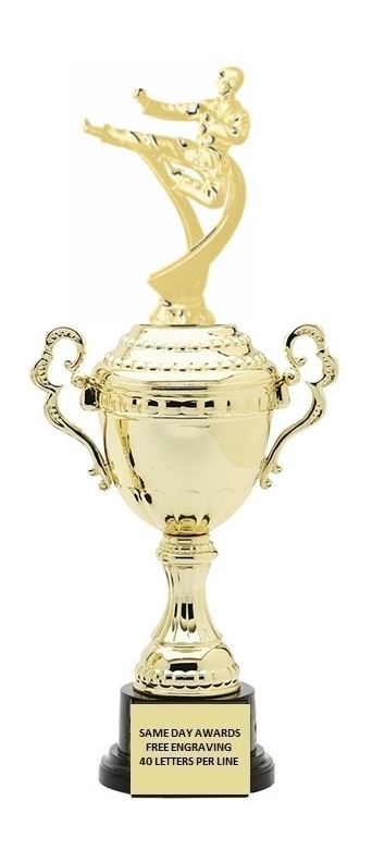 Monaco XL Gold Cup<BR> Male Karate Trophy<BR> 18.5 Inches
