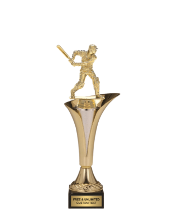 Typhoon Trophy Cup<BR> Cricket Batsman <BR> 12.5 to 15 Inches