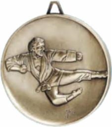 Highest Quality Die Cast<BR> Male Karate Medal<BR> Gold/Silver/Bronze<BR> 2.5 Inches