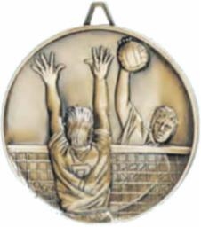 Highest Quality Die Cast<BR> Male Volleyball Medal<BR> Gold/Silver/Bronze<BR> 2.5 Inches