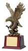 Pershing<BR> Gold Eagle Trophy<BR> 12 Inches