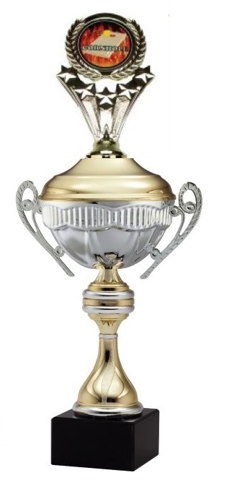 ALEXIS Premium Metal Cup<BR> Flame Cornhole Trophy<BR> 16 Inches