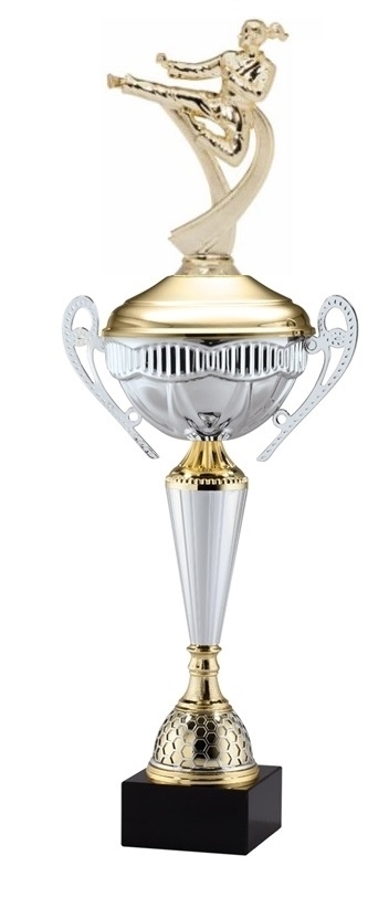 Polaris Metal Trophy Cup<BR> Female Karate <BR> 21 Inches