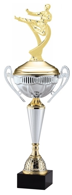 Polaris Metal Trophy Cup<BR> Male Karate <BR> 21 Inches