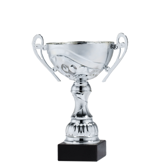 Silver Budget<BR> Metal Trophy Cup<BR> 10.25 Inches