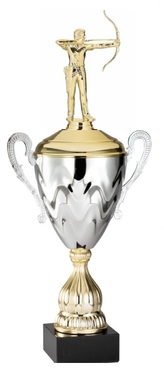 Premium Metal Gold/Silver<BR> Male Archery Trophy Cup<BR> 20 Inches