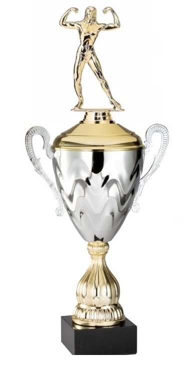 Premium Metal Gold/Silver<BR> Female Bodybuilder Trophy Cup<BR> 20 Inches