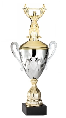 Premium Metal Gold/Silver<BR> Bench Press Trophy Cup<BR> 20 Inches
