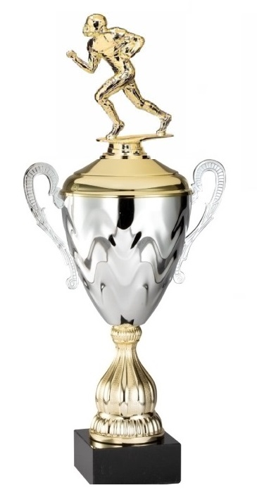 Up to 16 Year<BR>Premium Metal Gold/Silver<BR> Running Back Football Trophy Cup<BR> 20 Inches