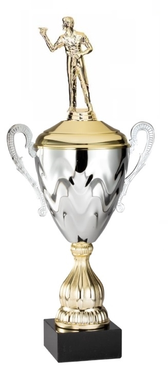 Premium Metal Gold/Silver<BR> Male Darts Trophy Cup<BR> 20 Inches