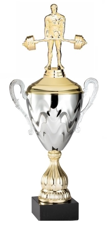 Premium Metal Gold/Silver<BR> Power Lift Trophy Cup<BR> 20 Inches