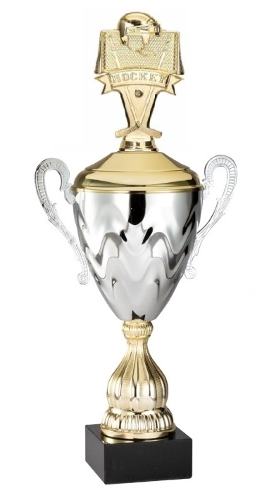 Premium Metal Gold/Silver<BR> Banner Ice Hockey Trophy Cup<BR> 20 Inches