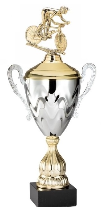 Premium Metal Gold/Silver<BR> Mountain Bike Trophy Cup<BR> 20 Inches