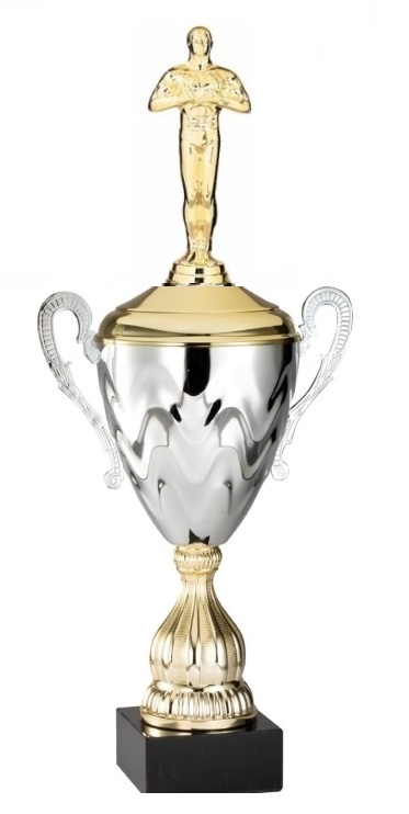 Premium Metal Gold/Silver<BR> Male Achievement Trophy Cup<BR> 20 Inches