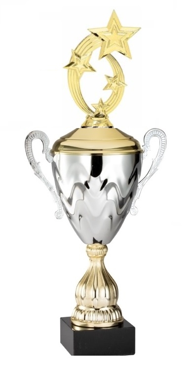 Premium Metal Gold/Silver<BR> Shooting Star Trophy Cup<BR> 20 Inches