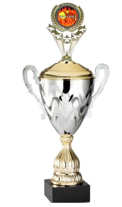 Premium Metal Gold/Silver<BR> Pickleball Flame Logo Trophy Cup<BR> 20 Inches