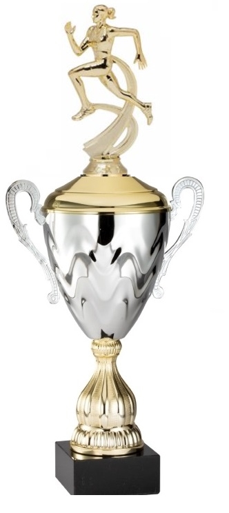 Premium Metal Gold/Silver<BR> Female Track Trophy Cup<BR> 20 Inches