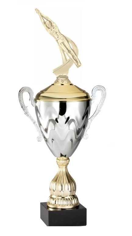 Premium Metal Gold/Silver<BR> Male Swim Trophy Cup<BR> 20 Inches