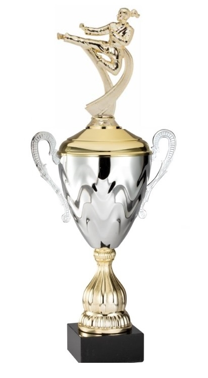 Premium Metal Gold/Silver<BR> Female Karate Trophy Cup<BR> 20 Inches