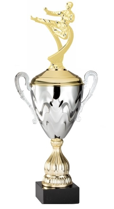 Premium Metal Gold/Silver<BR> Male Karate Trophy Cup<BR> 20 Inches