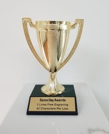 Gold Cup Trophy <BR> 6 Inches