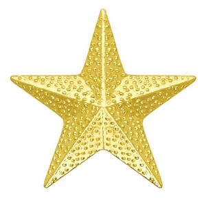 Chenille Pin<BR> Star