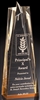 Executive Star<BR> Gold Acrylic Trophy<BR> 6 or 8 Inches