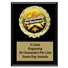 Magic Outstanding Performance Plaque<BR> Stock or Custom Logo <BR> 3 Sizes