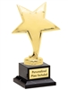 Metal Gold<BR> Star Trophy<BR> 6.75 Inches