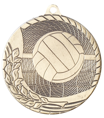 Inflation Buster<BR>Super Economy<BR> Volleyball Medal<BR> Gold/Silver/Bronze<BR>  1 5/8 Inches