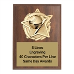 Gold Star<BR> Baseball Plaque<BR> 2 Sizes