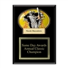 Ebony Matte Plaque<BR> Softball Award<BR> 9" x 12"