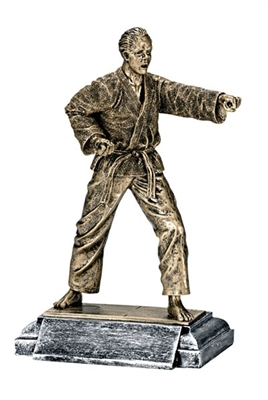 Freeman Classic<BR> Male Karate Trophy<BR> 9.75 Inches