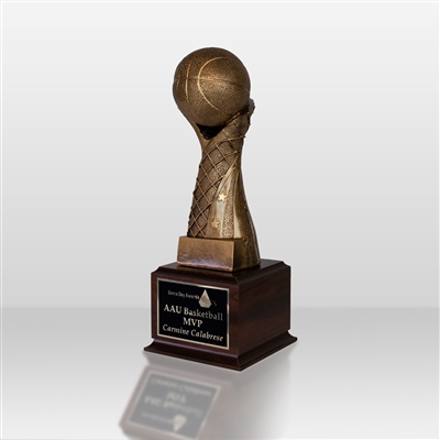 Gold Spiral NET Trophy<BR> Premium Basketball <BR> 14 Inches