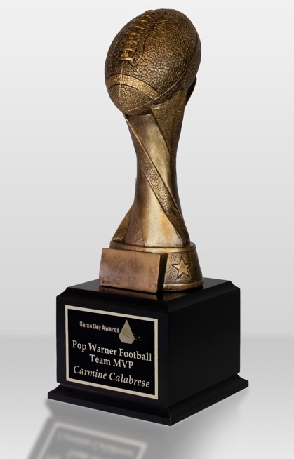 Gold Spiral<BR> Premium Football Trophy<BR> 14 Inches