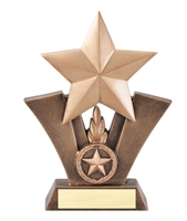 Victory Star Trophy<BR> 6 to 7.5 Inches