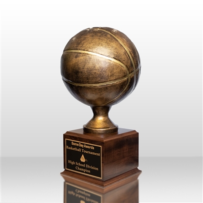 Up to 16 Year<BR>Bronzed<BR>Basketball Trophy<BR> 16 Inches