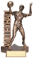 Billboard<BR> Male Volleyball Trophy<BR> 6.5 & 8.5 Inches
