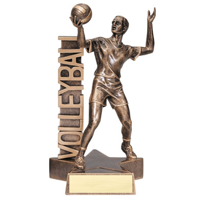 Billboard<BR> Male Volleyball Trophy<BR> 6.5 & 8.5 Inches