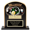 Ebony Stand Up<BR> Billiards Award<BR> 10" x 12"
