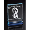 SAME DAY<BR>Executive Billboard<BR> Blue Acrylic Trophy<BR> 5 or 7 Inches