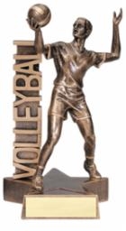 SAME DAY<br> BILLBOARD MALE <BR>VOLLEYBALL TROPHY <BR> 6.5 INCHES