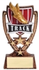 SAME DAY<BR> 4 Star Track Trophy<BR> 6 Inches