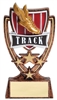4 Star<BR> Track Trophy<BR> 6 Inches