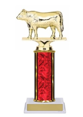 Single Column<BR> Angus Steer Trophy<BR> 10-12 Inches<BR> 10 Colors