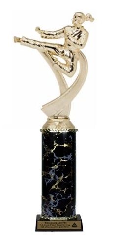 Single Column<BR> Female Karate Trophy<BR> 10-12 Inches<BR> 9 Colors