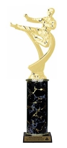 Single Column<BR> Male Karate Trophy<BR> 10-12 Inches<BR> 9 Colors