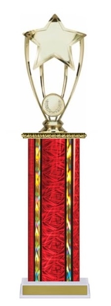 Wide Column<BR> Star 4 Post Trophy<BR> 12-14 Inches<BR> 10 Colors